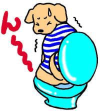 トイレワンチャン