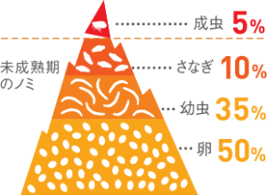 ノミの生存ピラミッド